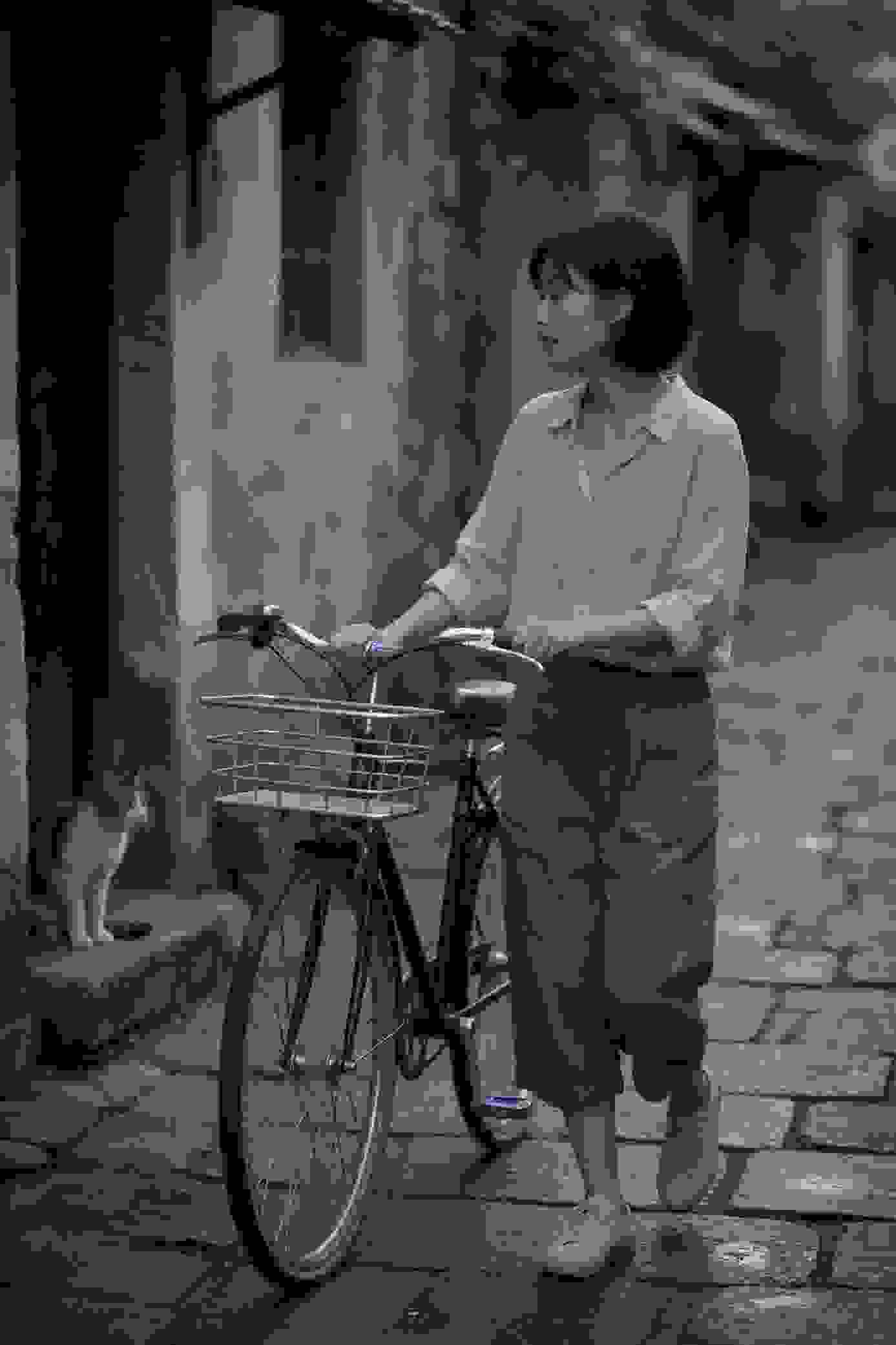 复仇律师